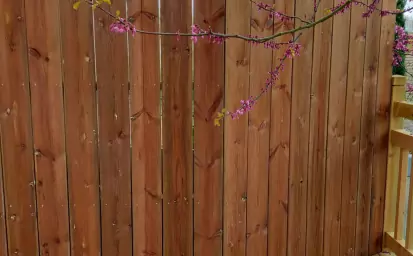 Aménagement extérieur en bois image 