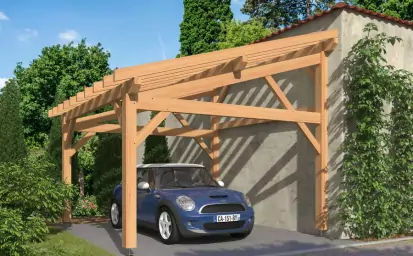Carport et pergola en bois en Ile-de-France image 