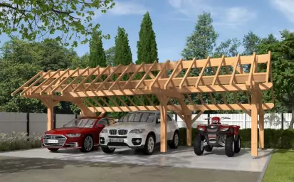 Carport et pergola en bois en Ile-de-France image 