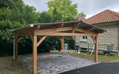 Carport et pergola en bois en Ile-de-France image 